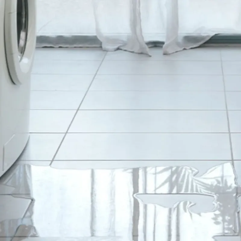Appliance Leak Cleanup in Canutillo, TX