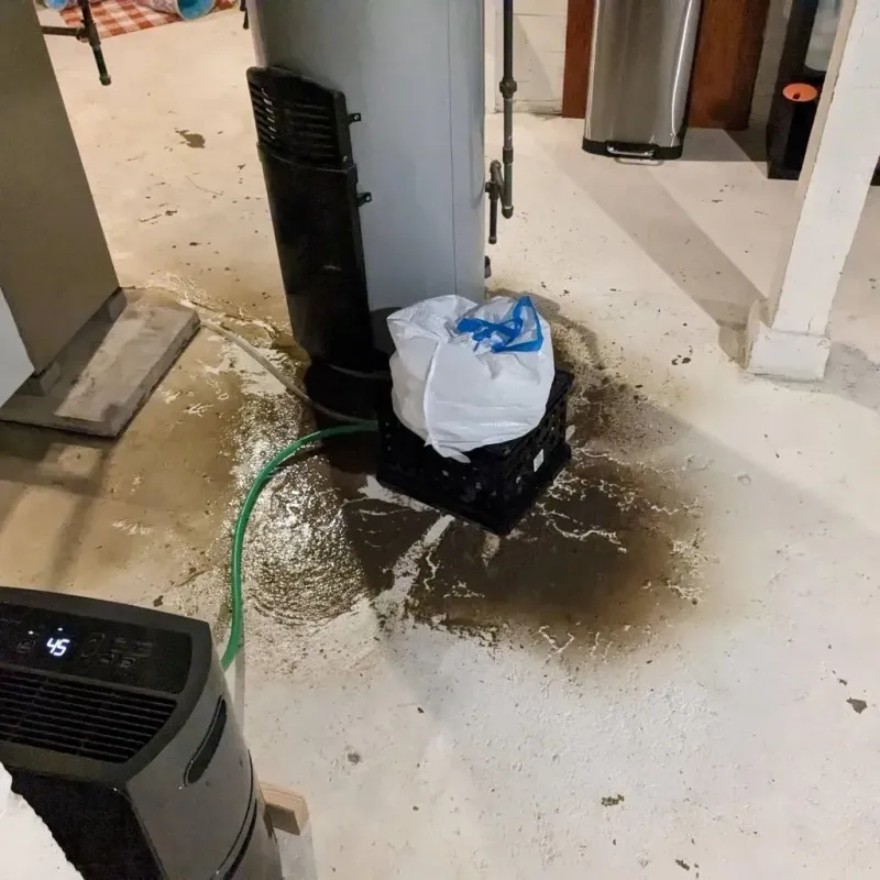 Sewage Backup Cleanup Service in Canutillo, TX